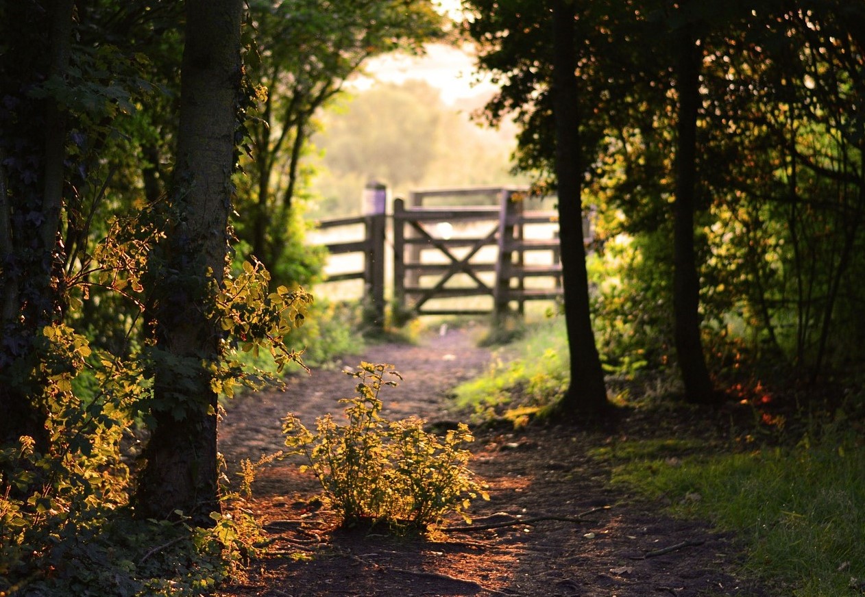 apprenticeship gateway